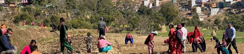 School Garden Program